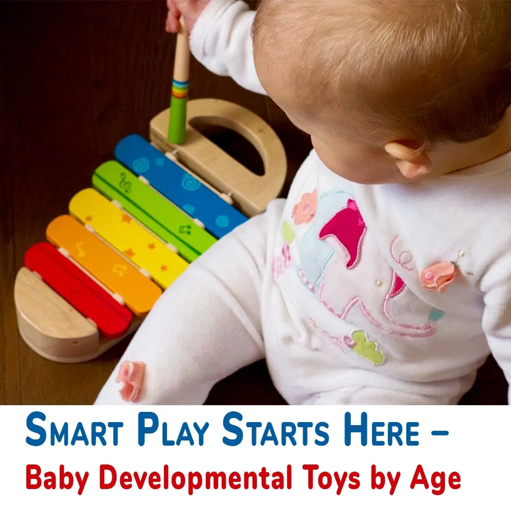 Baby Developmental Toys